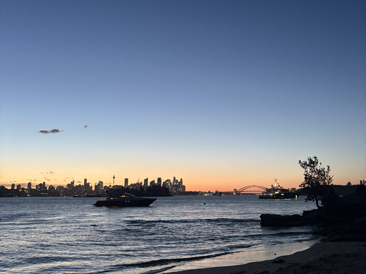 Sydney bay, sailing boats and skyline at sunset