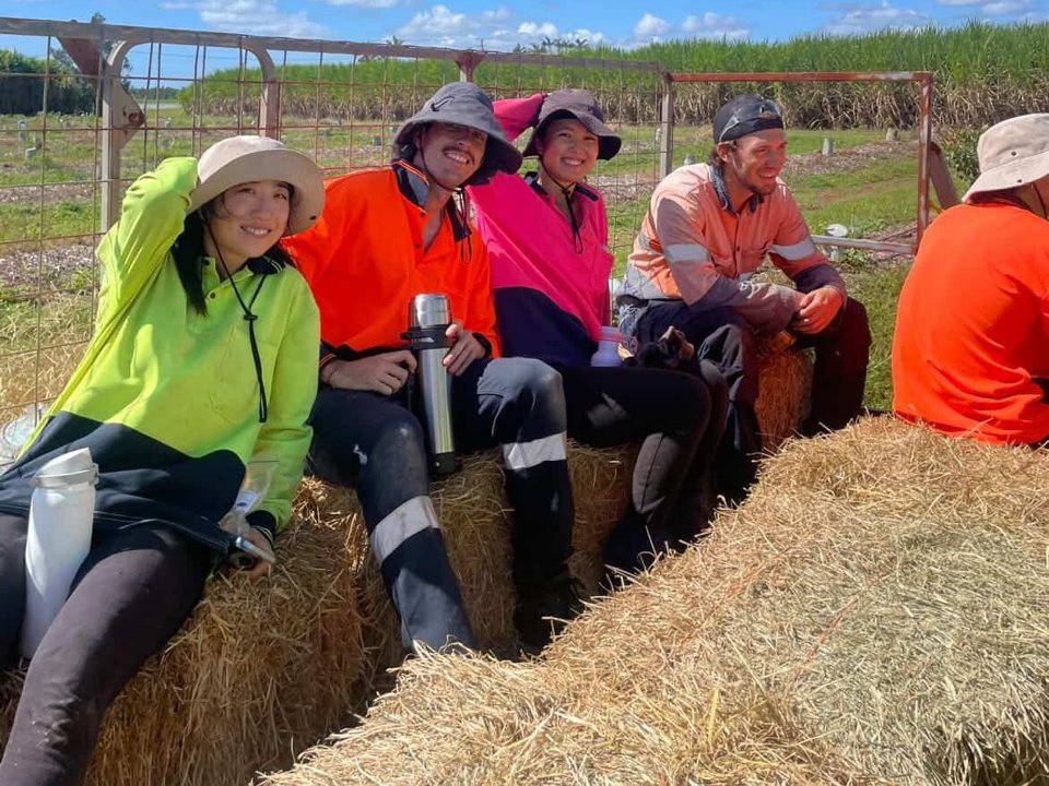 Workmates in work clothes take a break together on hay bales